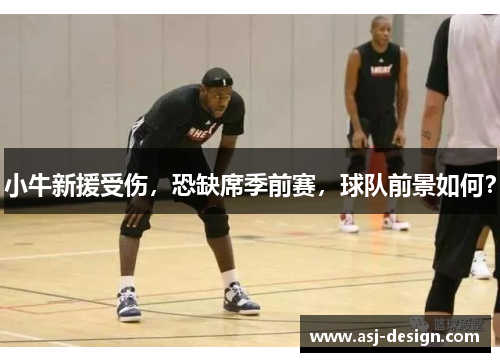 小牛新援受伤，恐缺席季前赛，球队前景如何？